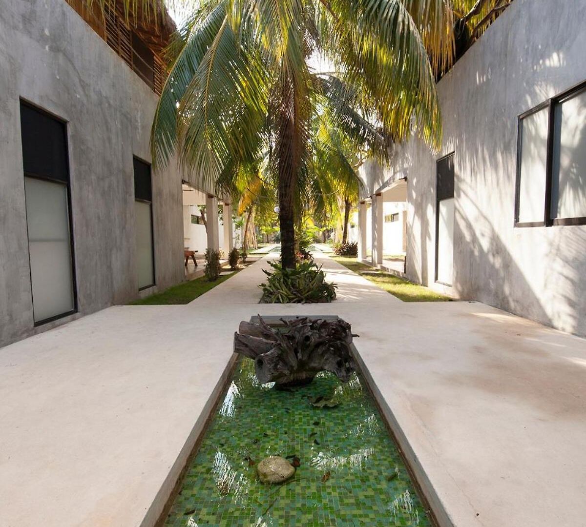 Private Villa, Weddings, Retreats, Groups Tulum