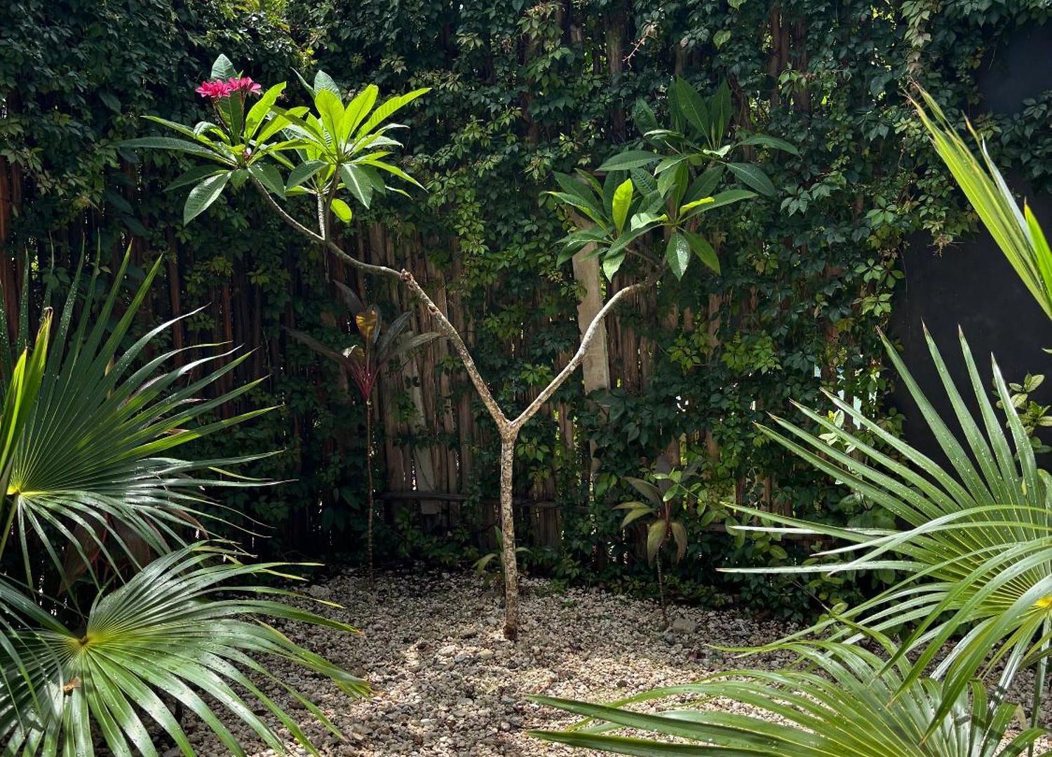 Miel 14 Villa Tulum