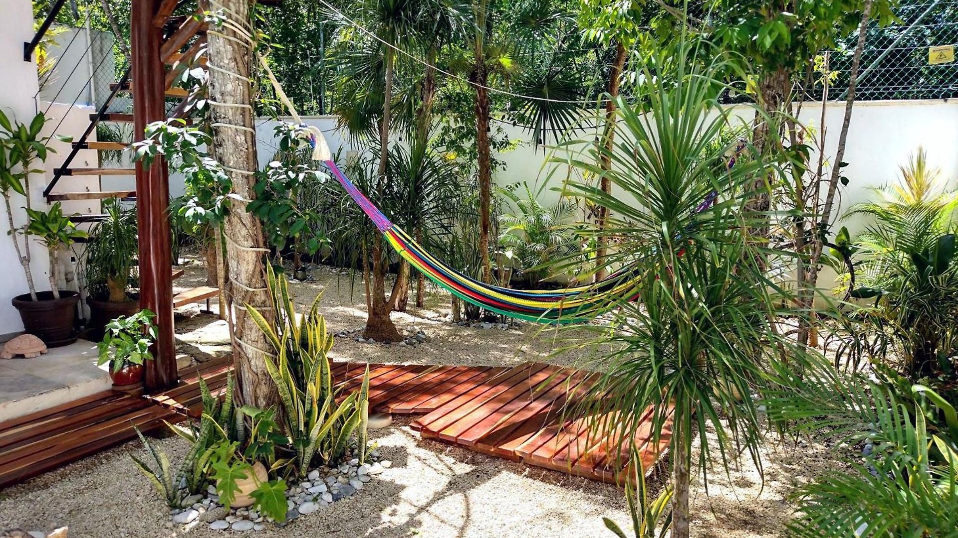 Tucanes *
