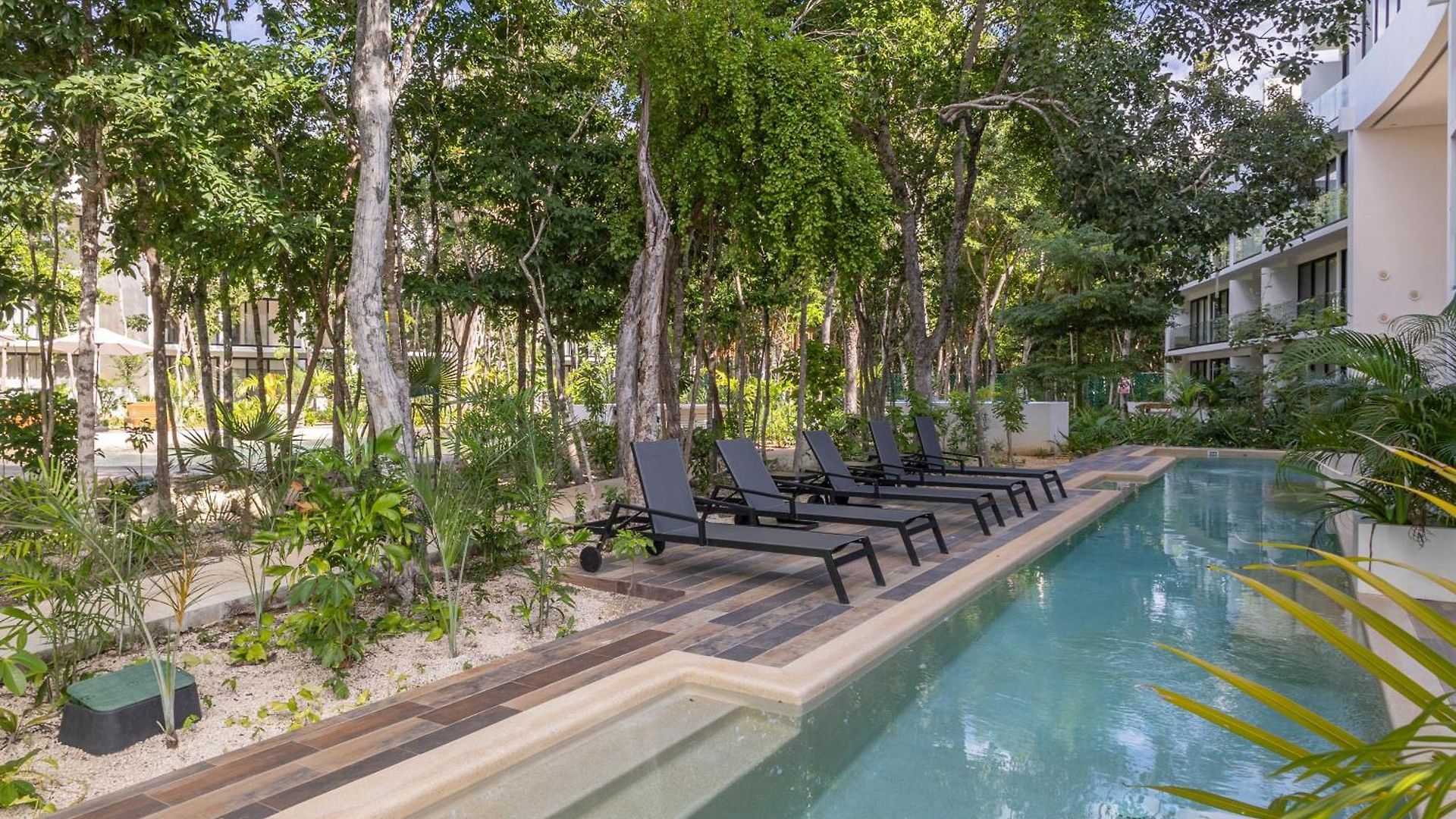 Penthouse 2br In With Private Rooftop And Pool Apartment