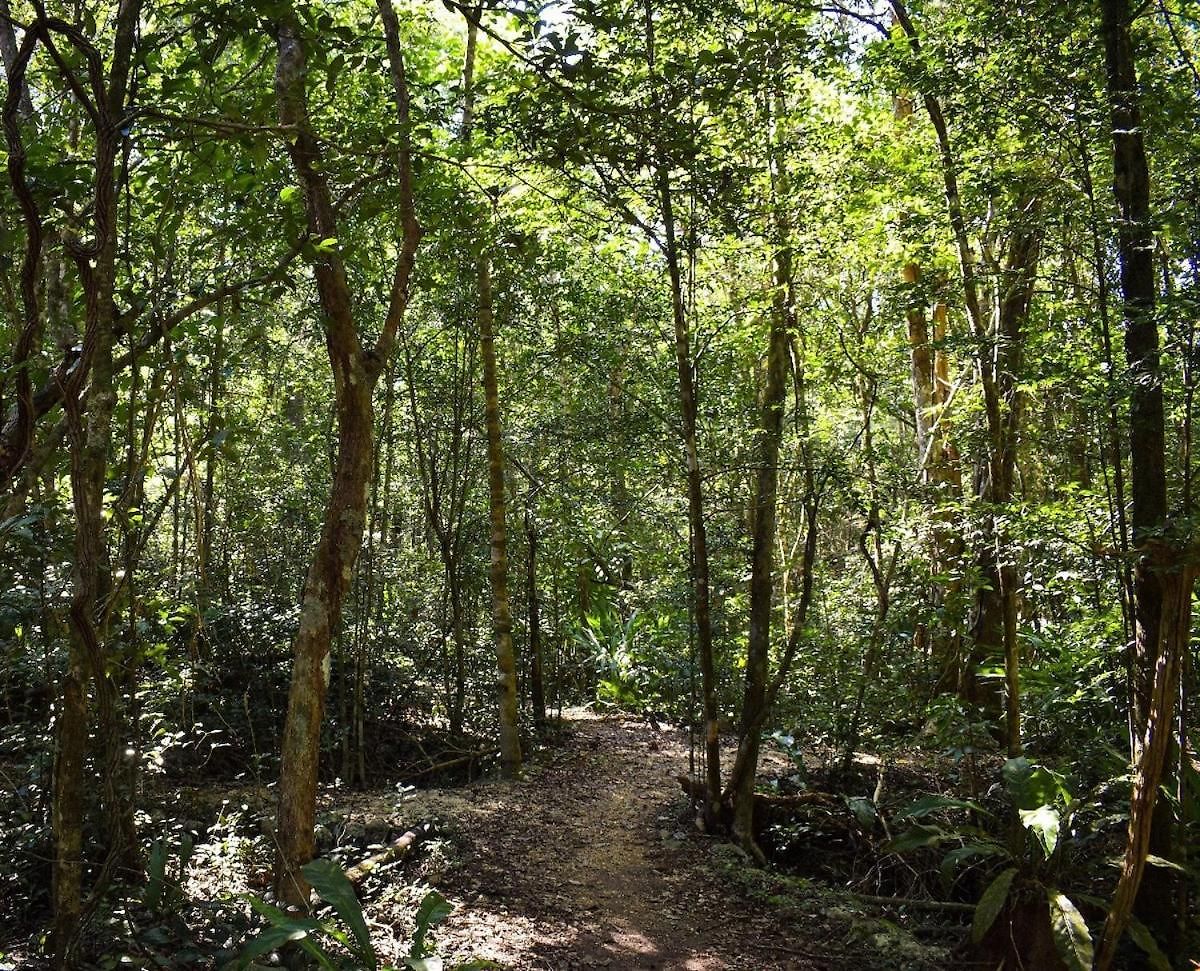 Apartment Beautiful House In The Heart Of The Jungle - Ya'axnik