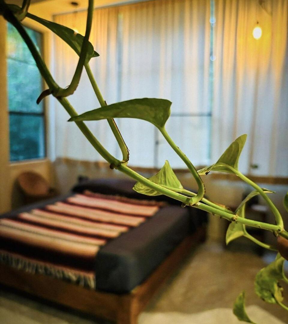Beautiful House In The Heart Of The Jungle - Ya'axnik *