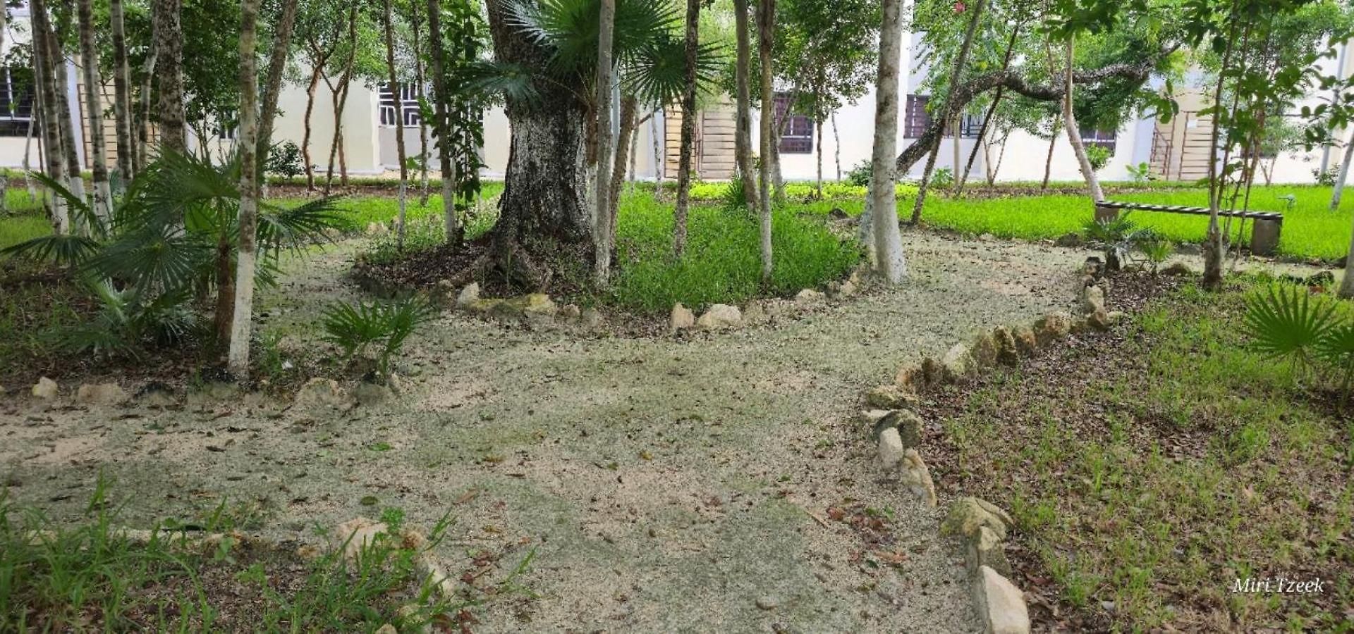 Casa Luhami *