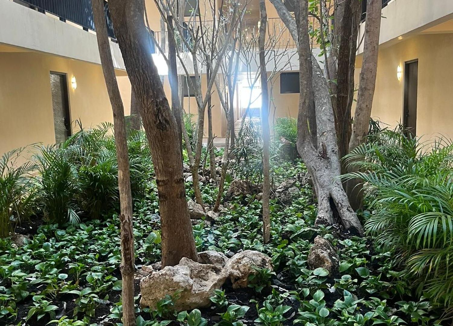 Apartment Retreat, Natural Magic And Tranquility