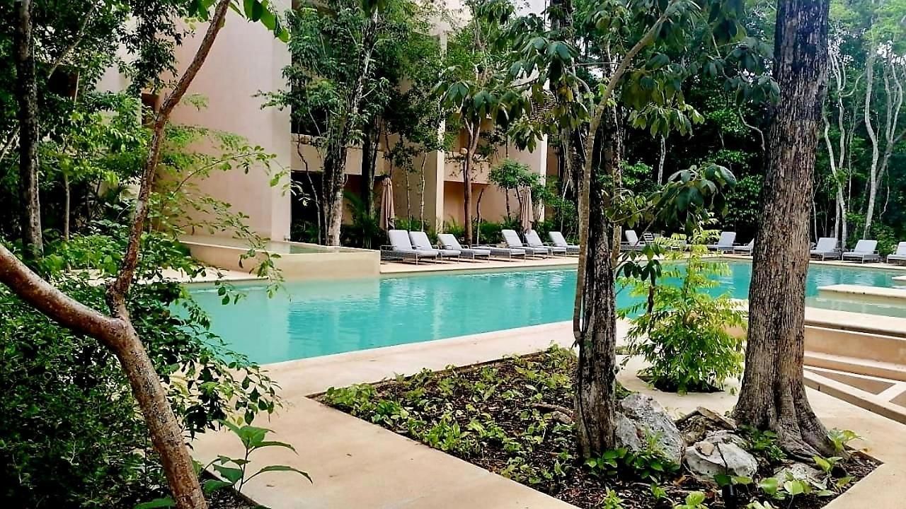 Apartment Retreat, Natural Magic And Tranquility *