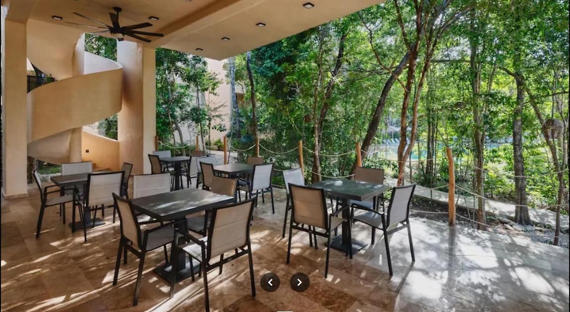Apartment Retreat, Natural Magic And Tranquility *