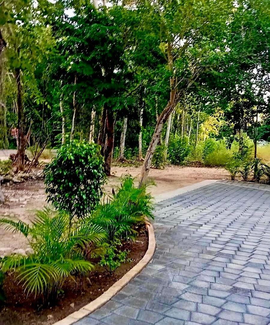 Retreat, Natural Magic And Tranquility * Tulum