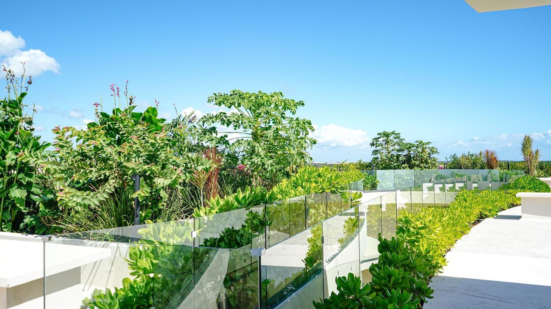 Oasis Jungle Views, 4 Pools & Near Apartment *