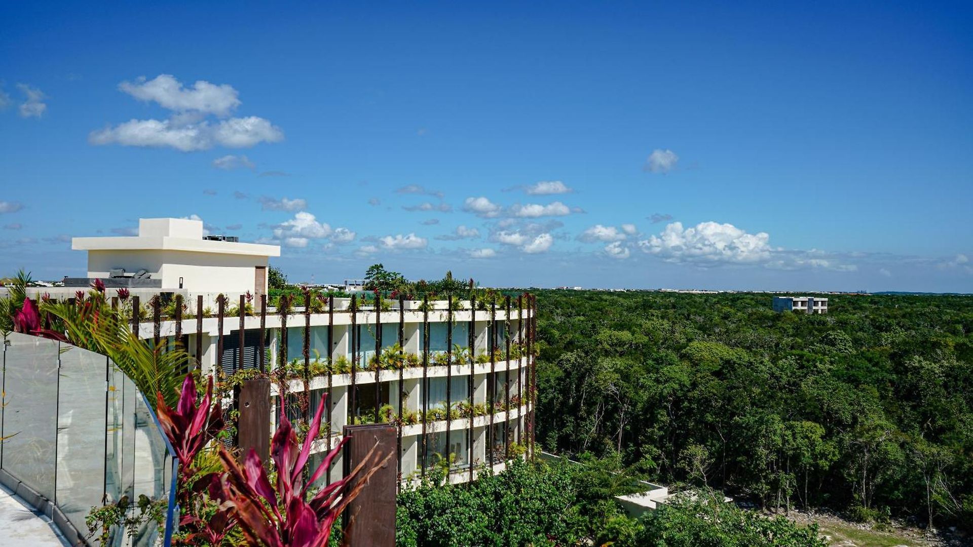 Oasis Jungle Views, 4 Pools & Near Apartment