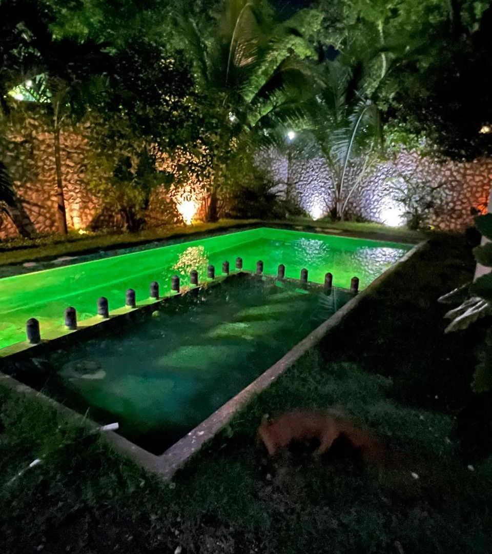 Apartment Pacha *