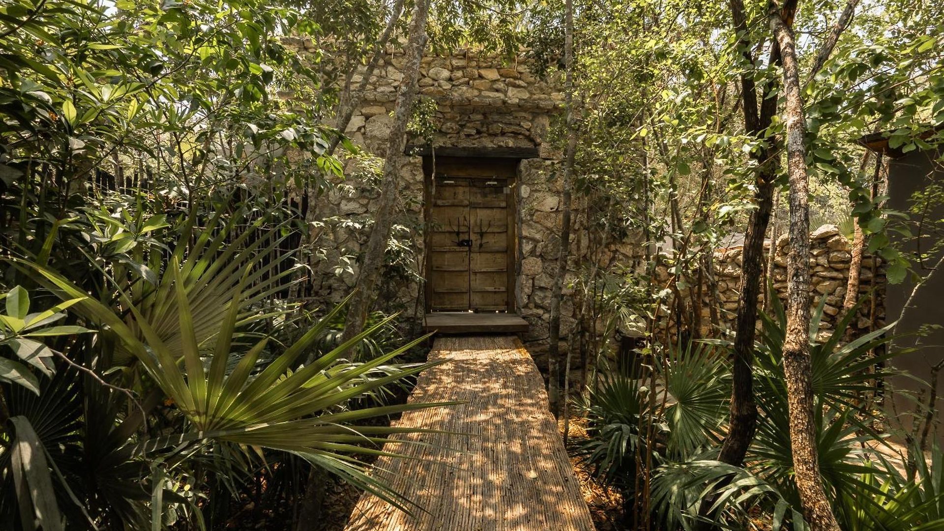 Apartment Siwa Jungle-luxury 2br Retreat With Private Roofto