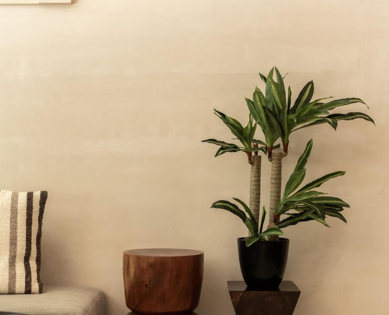 Bt Homes - - De Lujo En La Selva Con Piscina Apartment