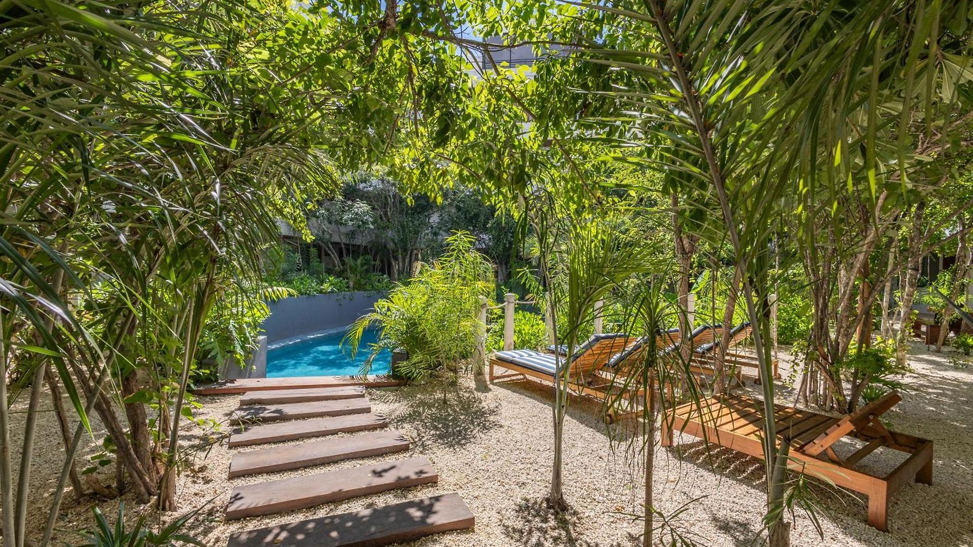 Apartment Luxury 2 Bd Roof Private Pool - Jungle View