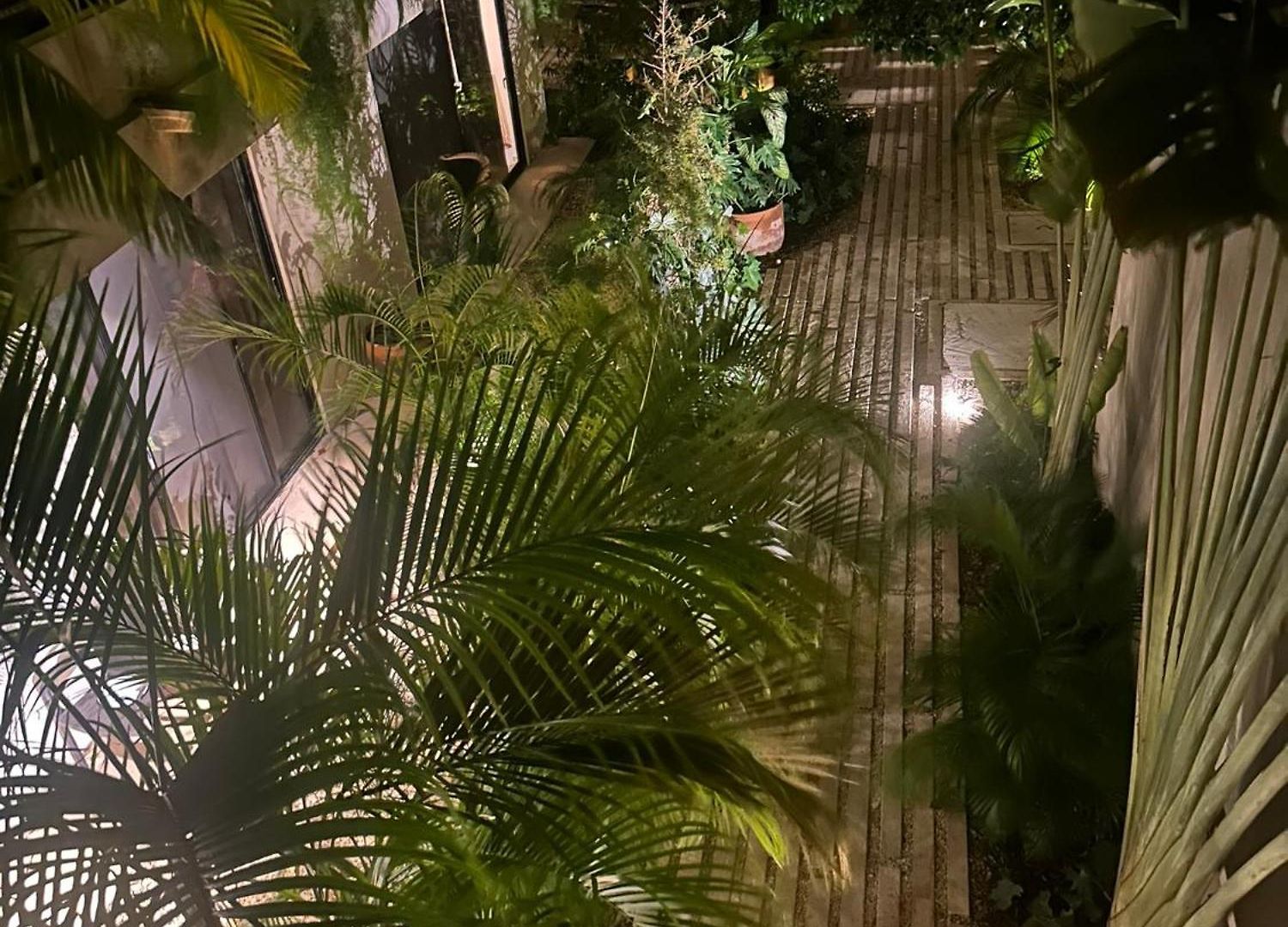 Paraiso Aldea Zama Tulum
