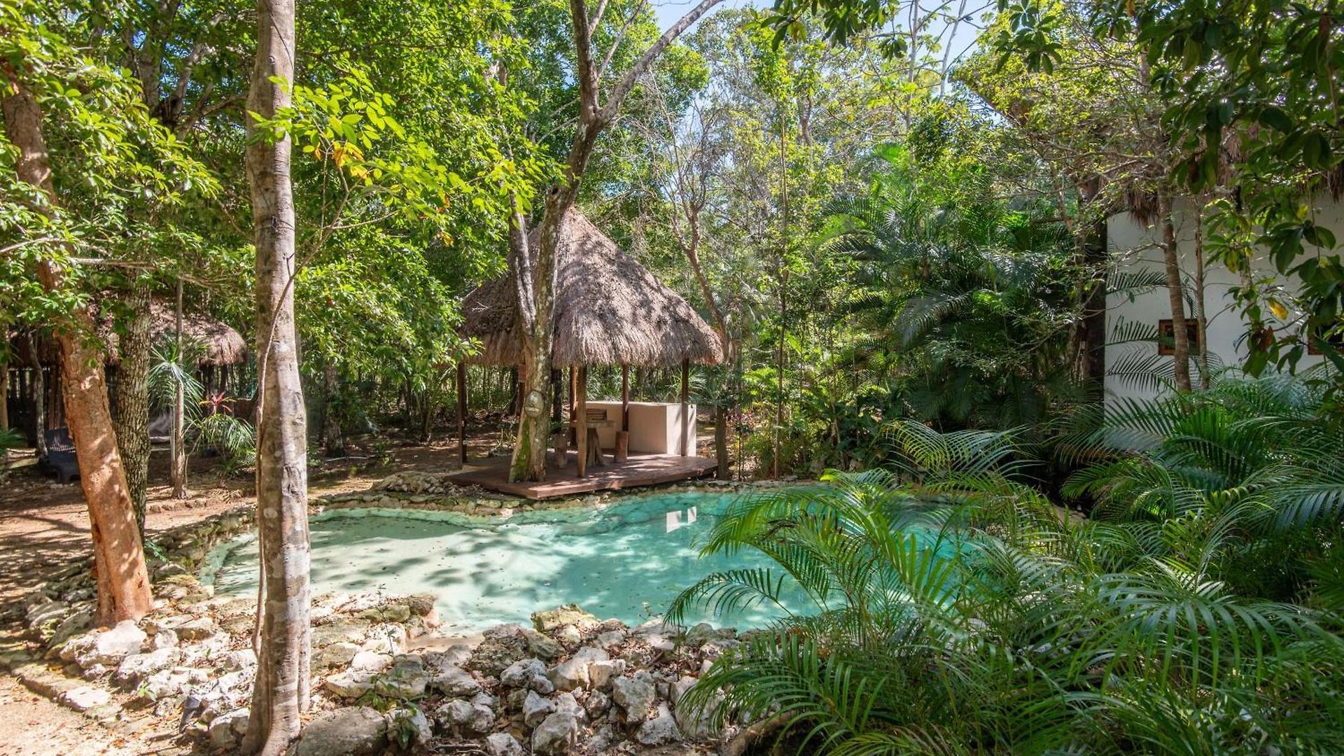 Apartment Private Jungle With Full Kitchen & Pool Access Tulum