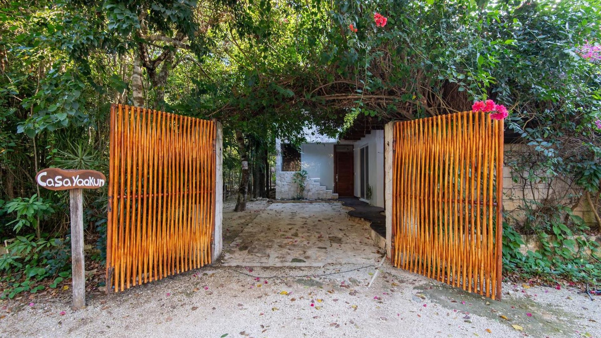 Private Jungle With Full Kitchen & Pool Access