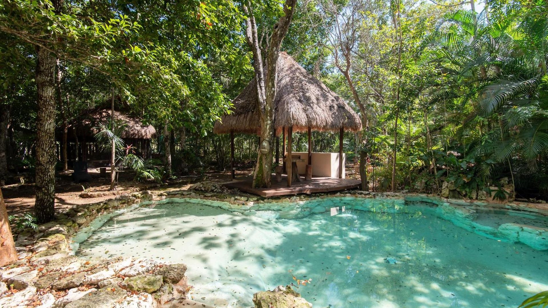 Private Jungle With Full Kitchen & Pool Access Apartment *