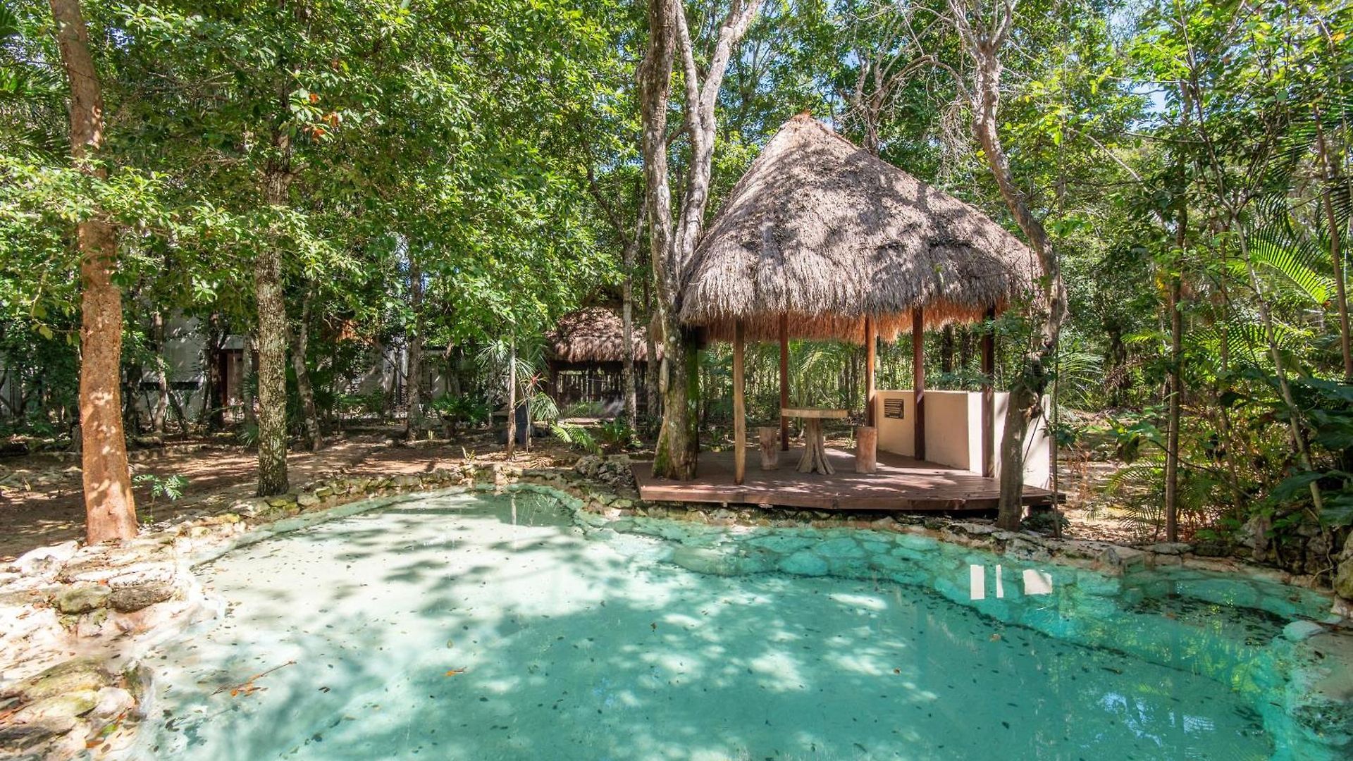 Apartment Private Jungle With Full Kitchen & Pool Access *