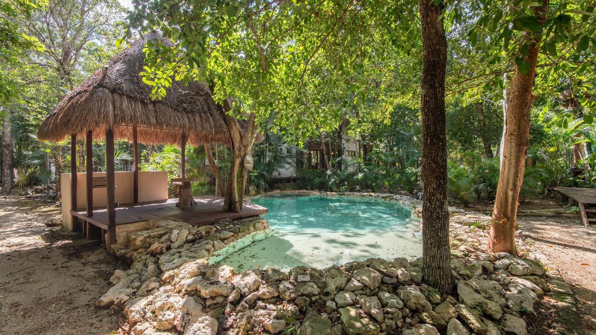 Private Jungle With Full Kitchen & Pool Access *