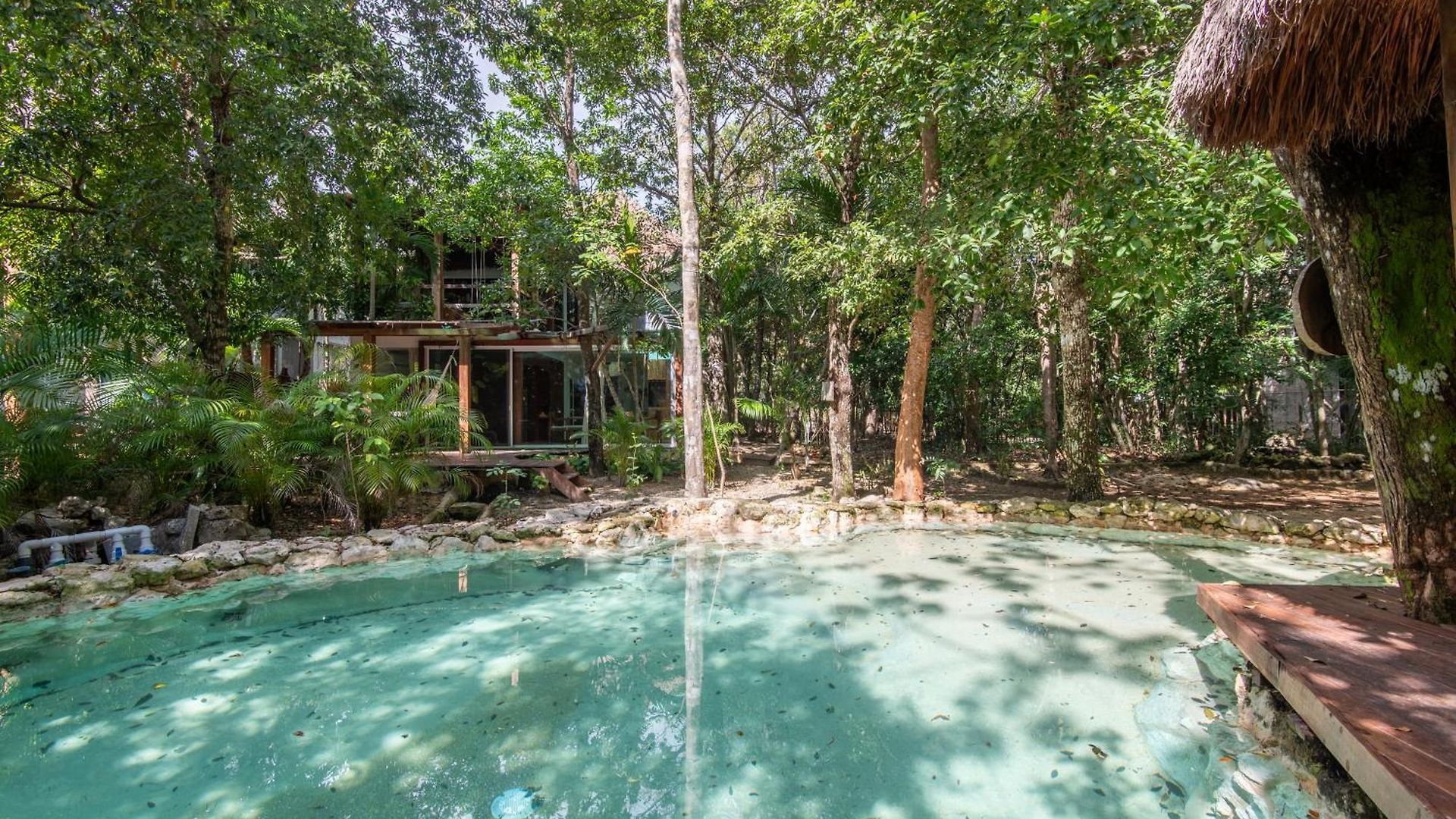Private Jungle With Full Kitchen & Pool Access Apartment *