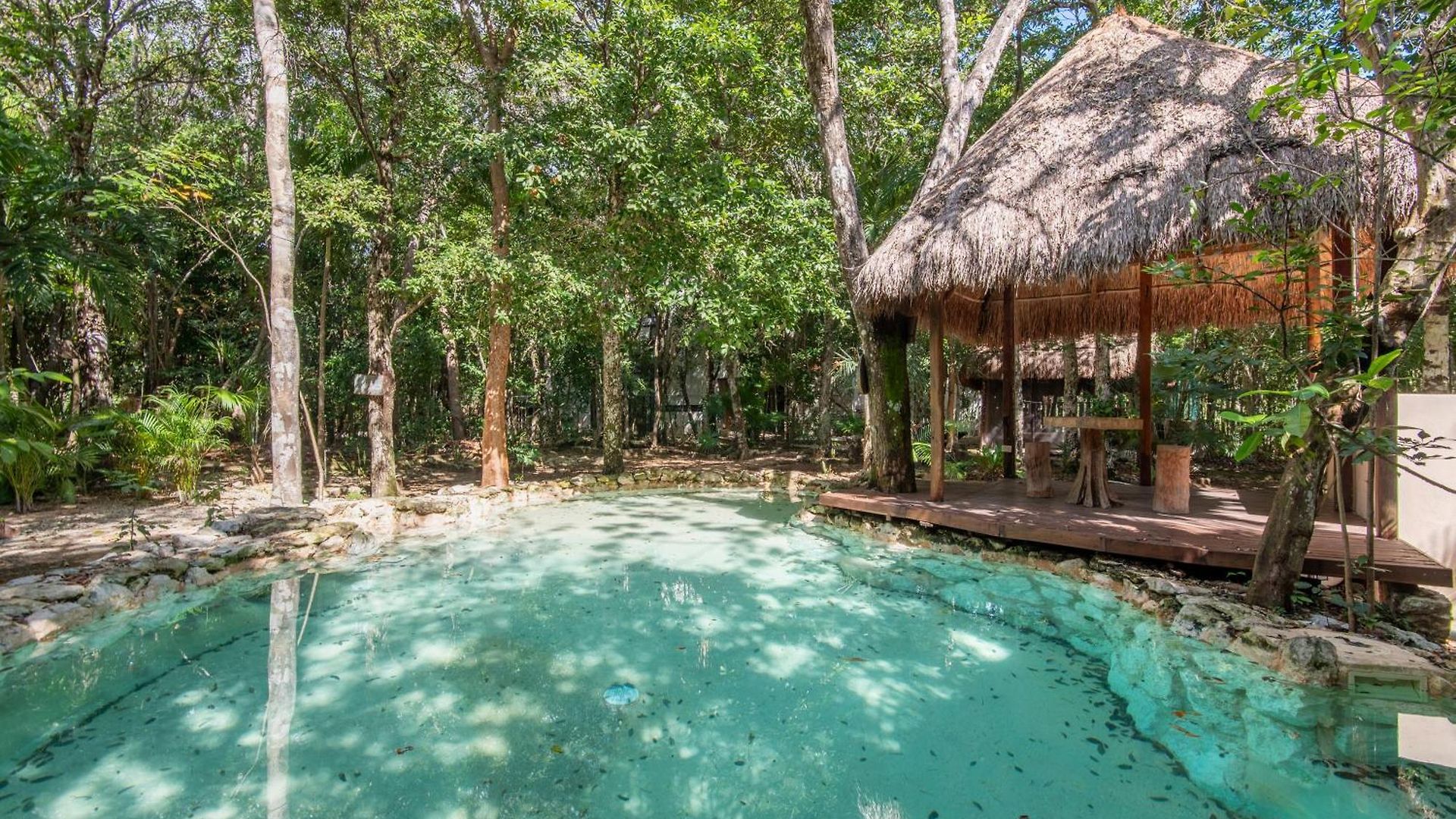 Private Jungle With Full Kitchen & Pool Access Apartment *