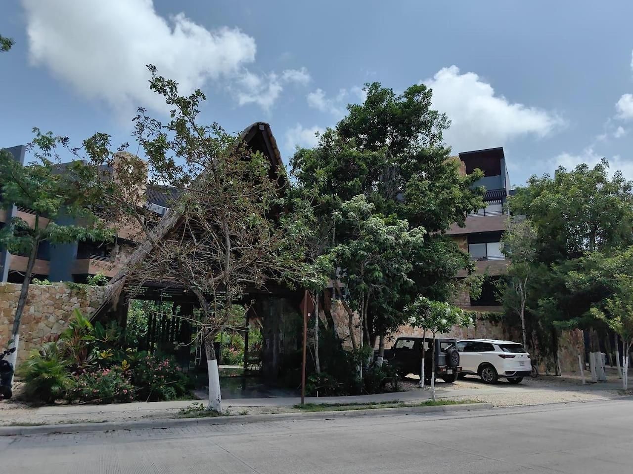 Paramar Noir Swim-up Aldea Zama