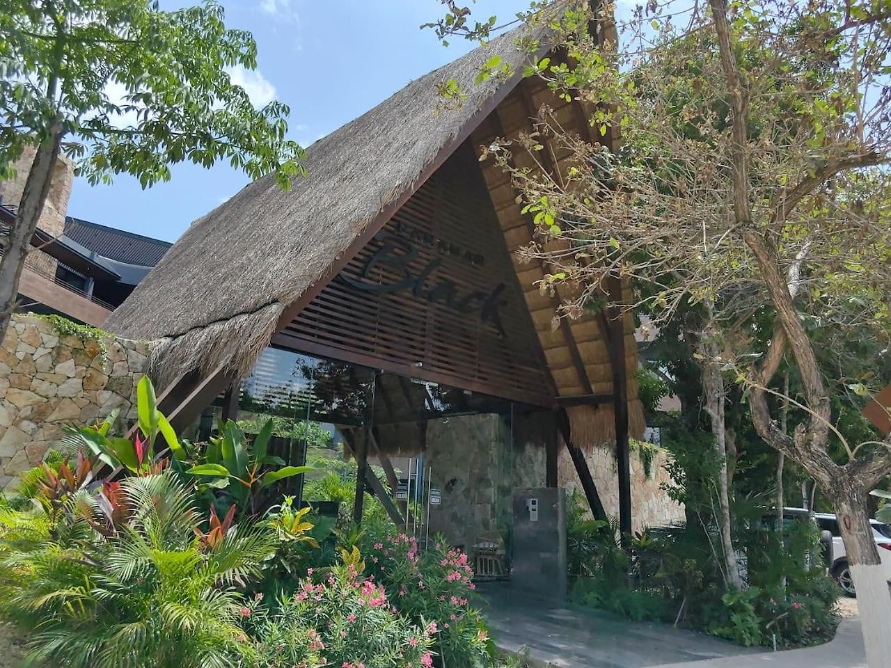 Paramar Noir Swim-up Aldea Zama