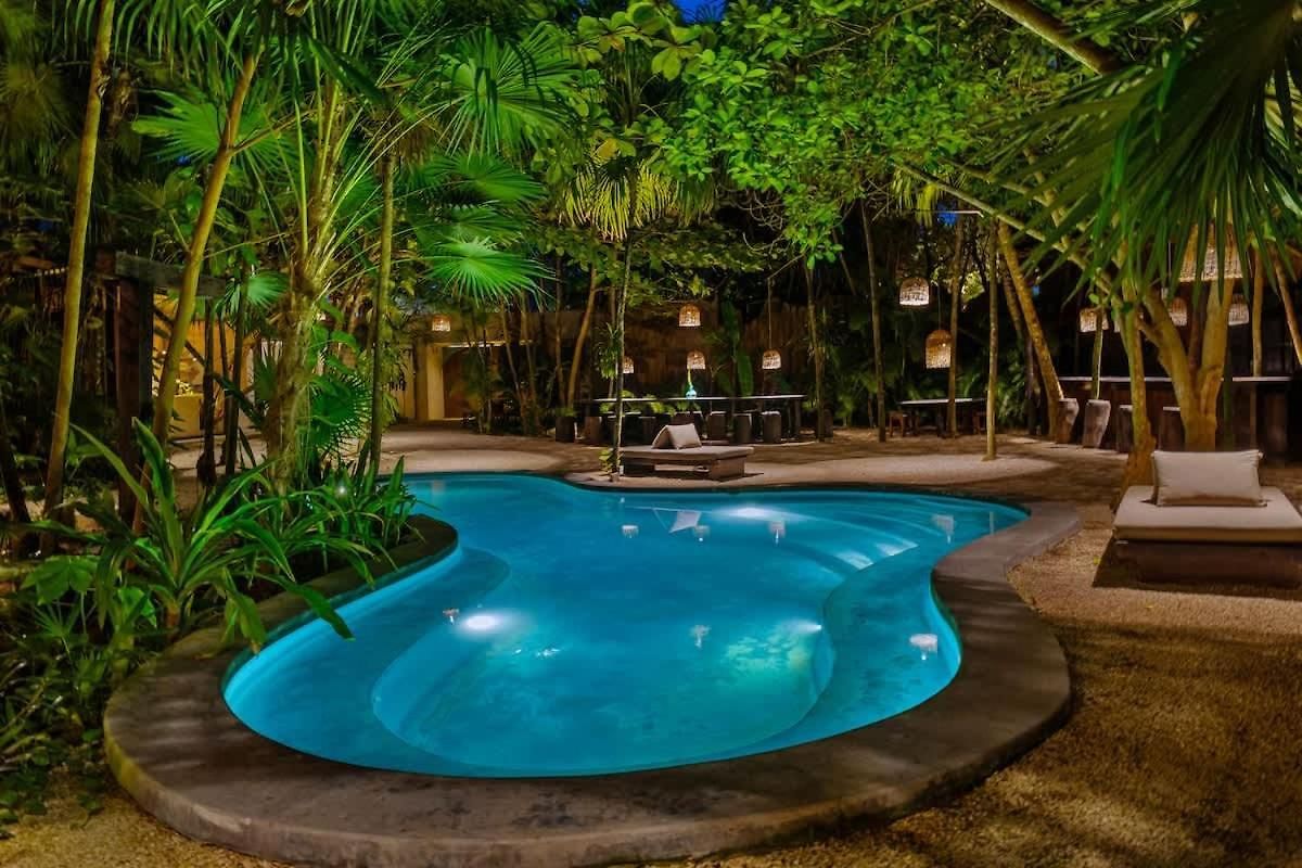 Tree House - Access - Holiday home