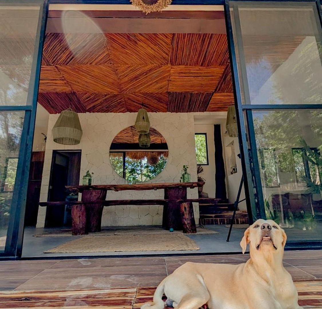 Curandero Villa Tulum