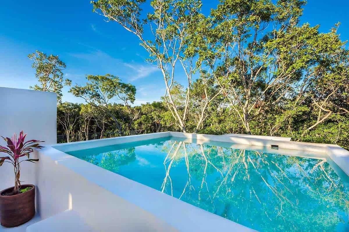 Designer Luxury With Private Pool Oasis Holiday home