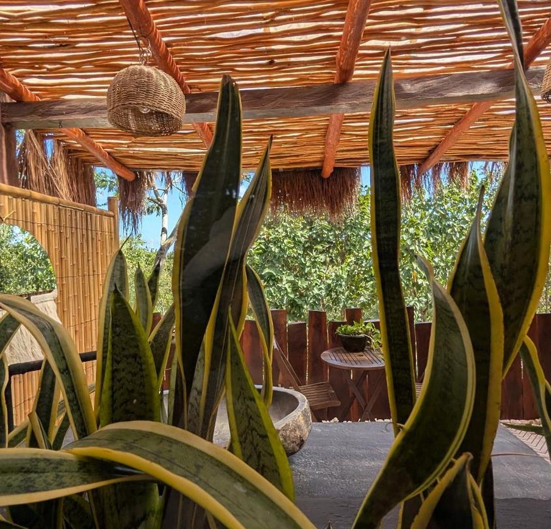 Curandero Villa Tulum