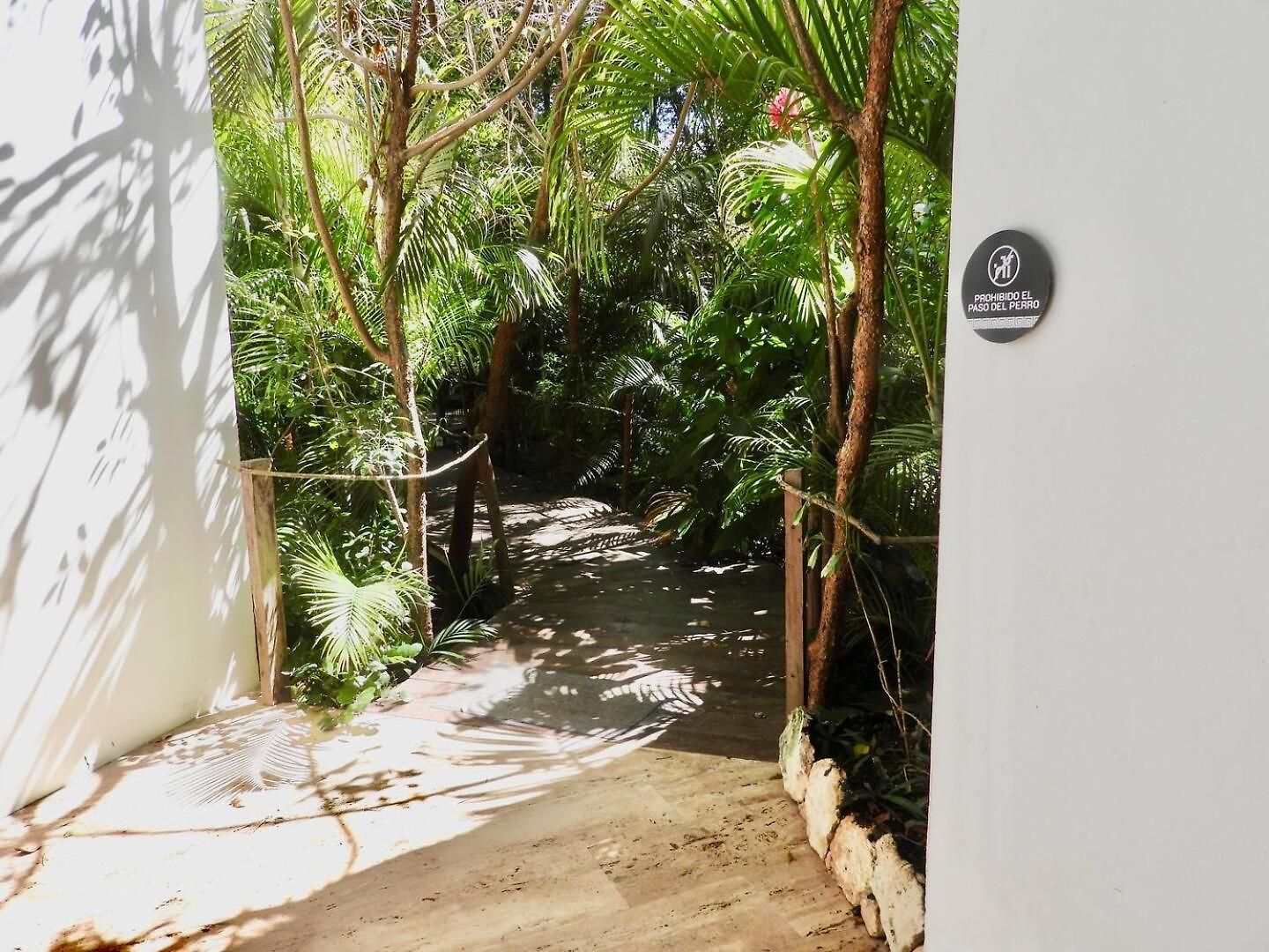 New! La Veleta 2br, Pool, Jacuzzi & Gym Сasa de vacaciones Tulum
