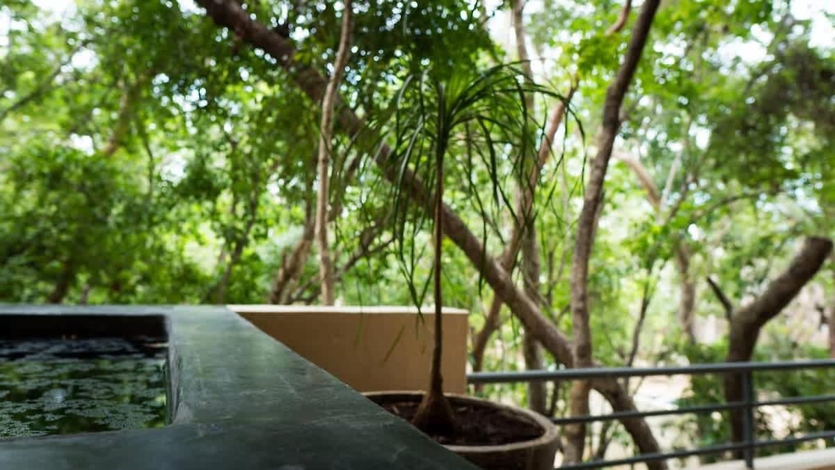 3br Jungle Escape With Luxe Plunge Pool- Holistika * Tulum