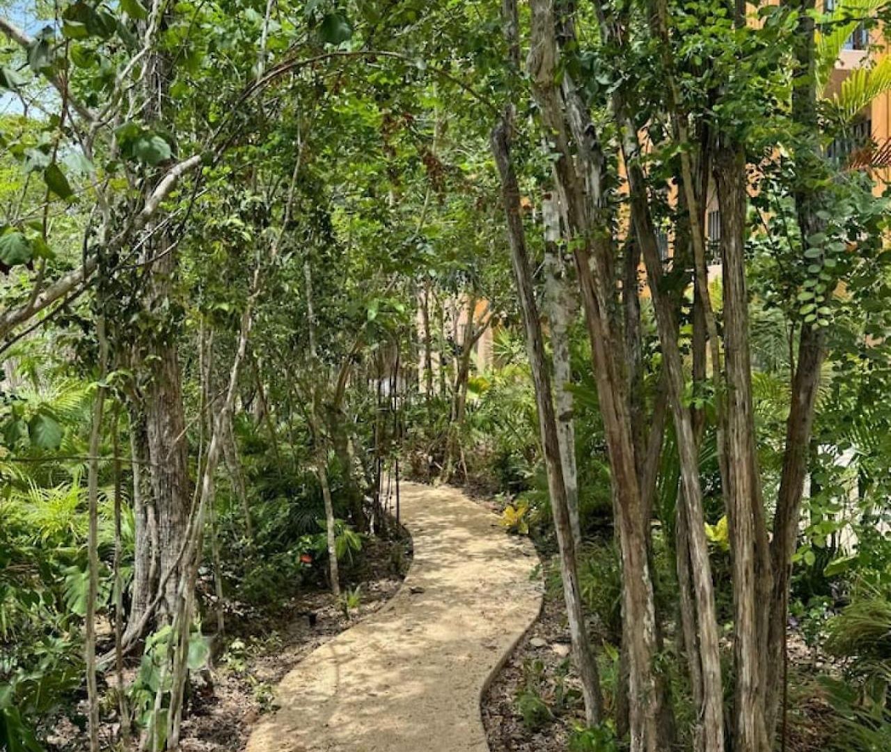 Luxury 3 Bedroom With Private Pool Aflora Tulum