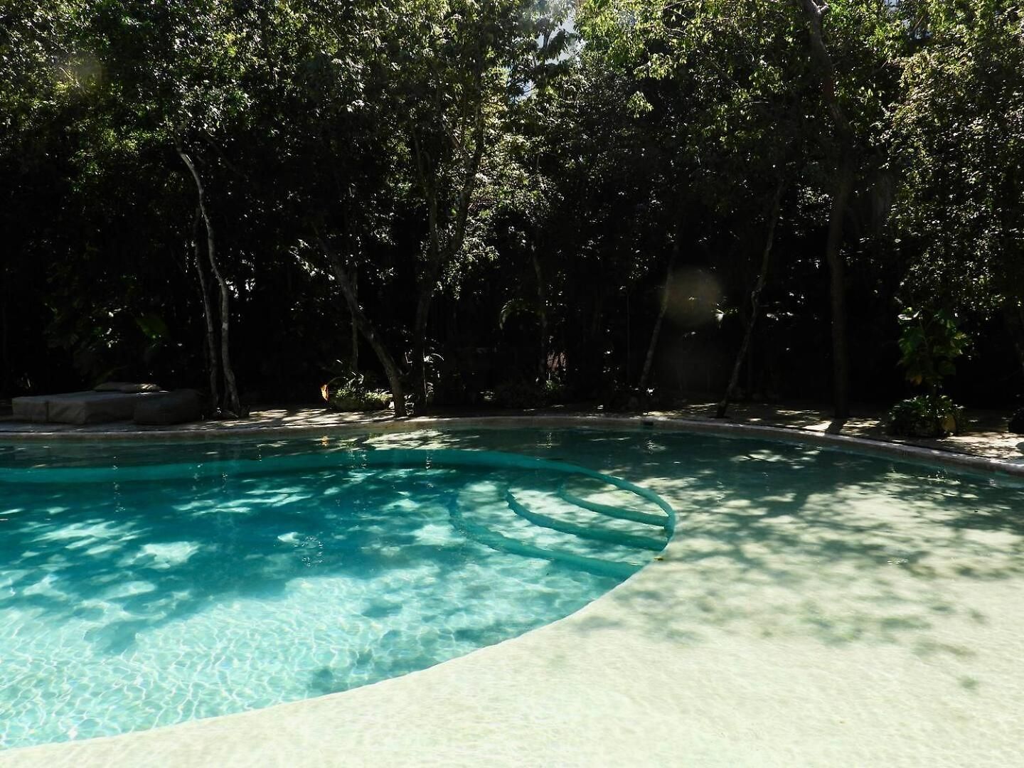 New! La Veleta 2br, Pool, Jacuzzi & Gym