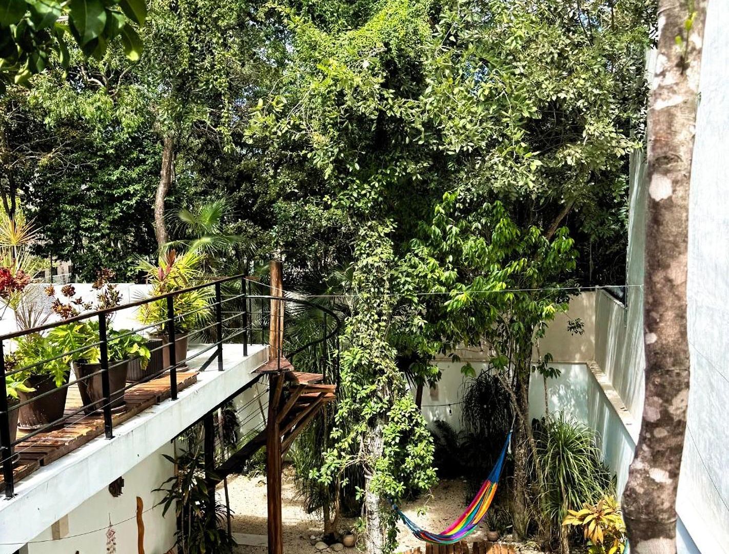 Tucanes