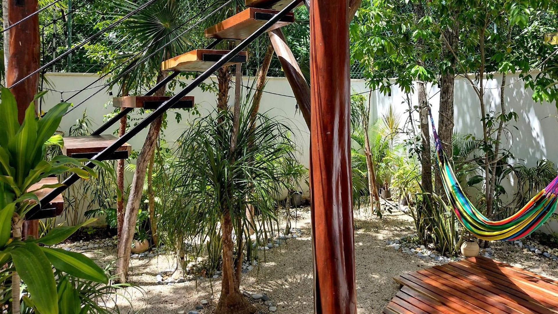 Tucanes *