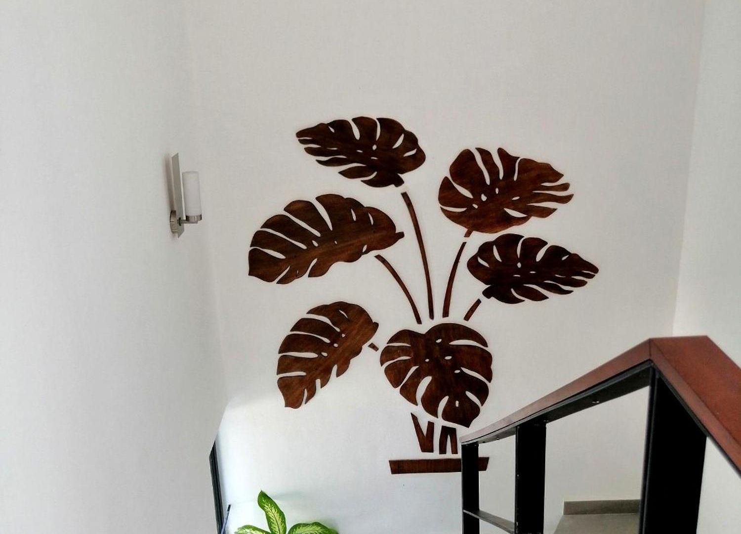 Tucanes