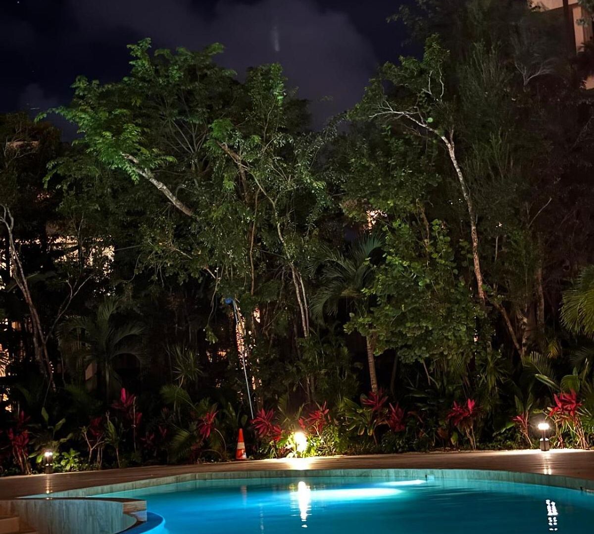 Apartment Alof In The Jungle