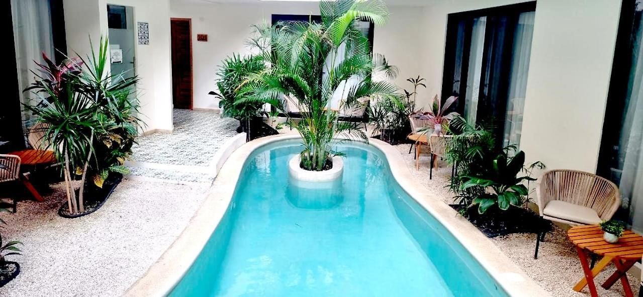 Estudio Con Terrazza Apartment
