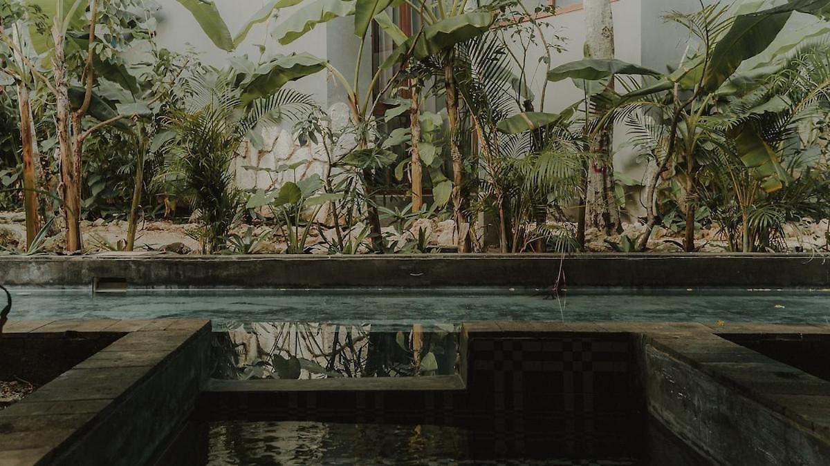 Apartamento Private Jungle 1br Retreat & Fast Wi-fi