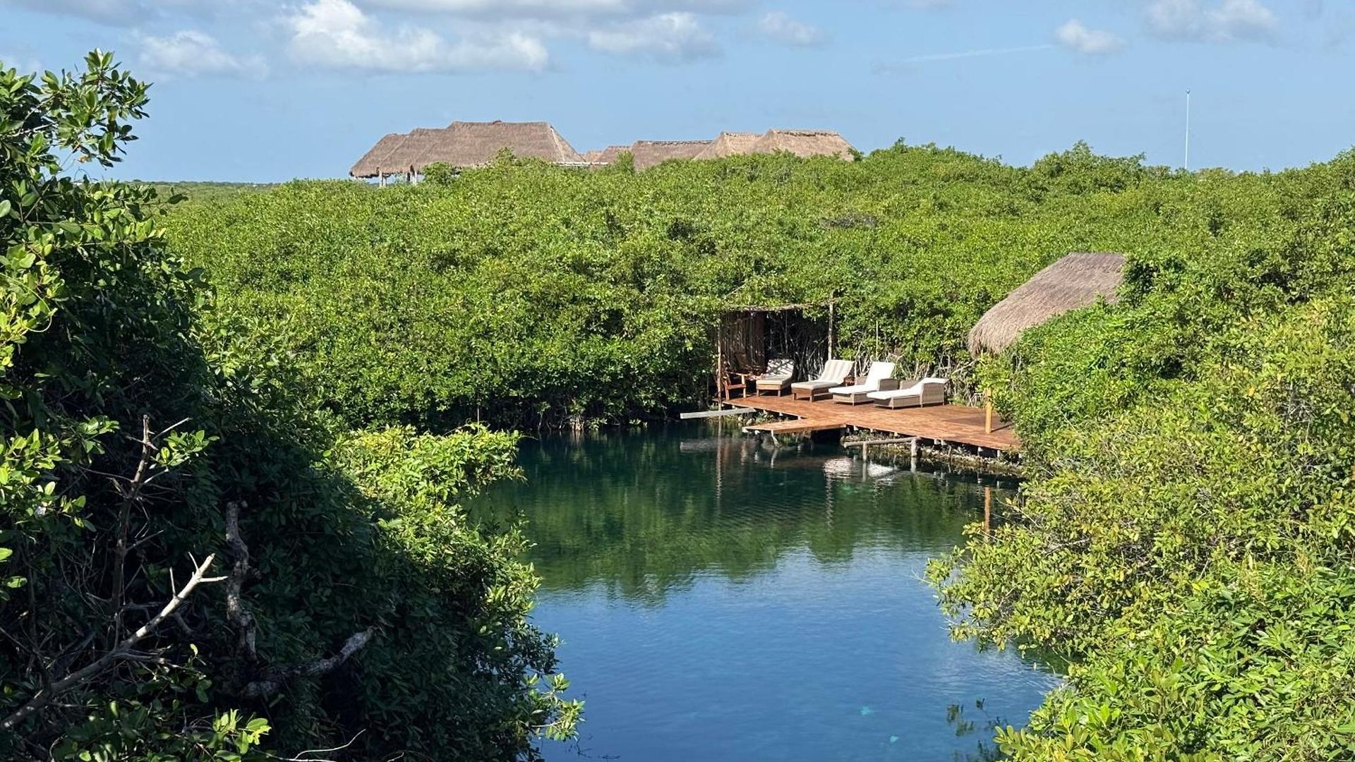 Garden Atelier - Private Cenote & Steps From The