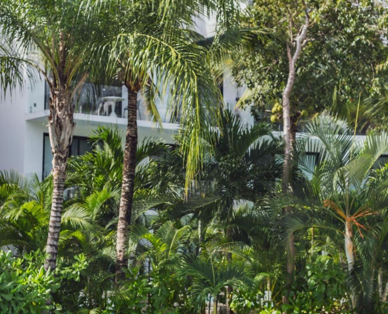 Apartamento Bt Homes - Ph Selvático, Piscina Privada Y Confort