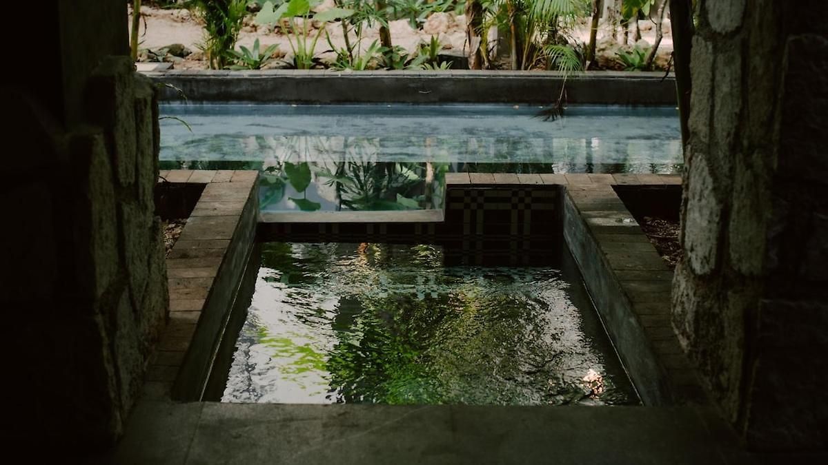 Private Jungle 1br Retreat & Fast Wi-fi *