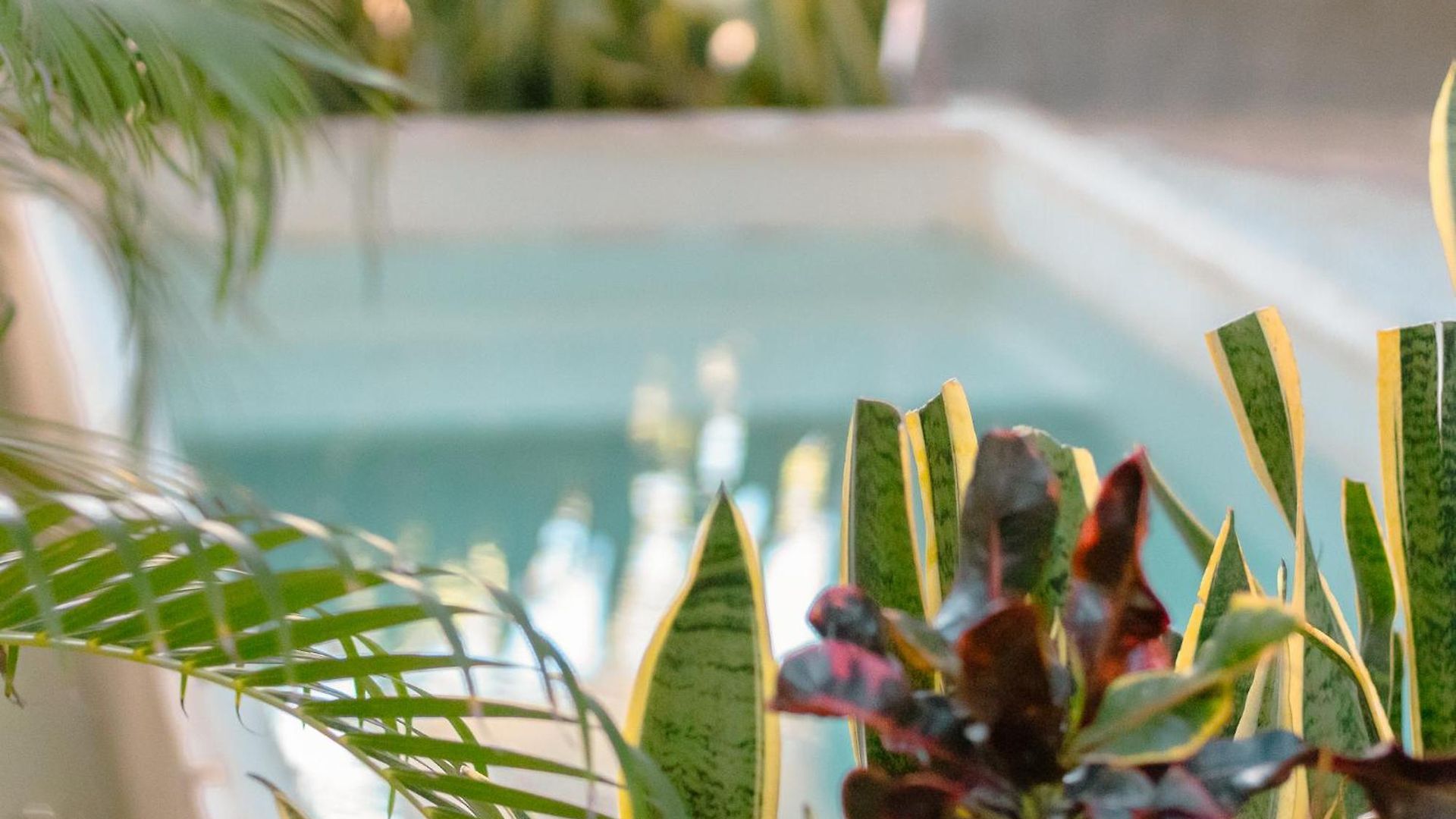 Apartment 107 Private Pool & King Bed Seremonia