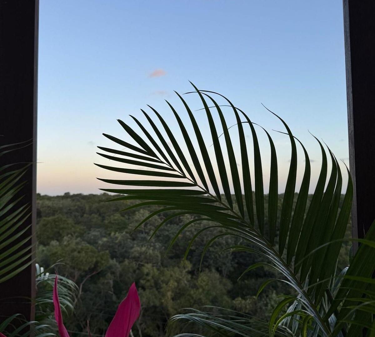 Apartment Alof In The Jungle Tulum