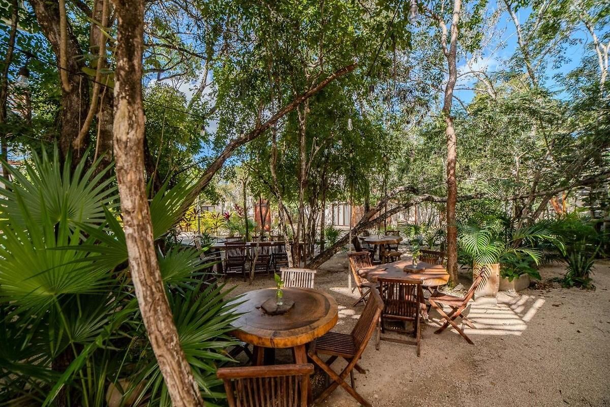 Modern With Pool Fast Wifi Perfect * Tulum