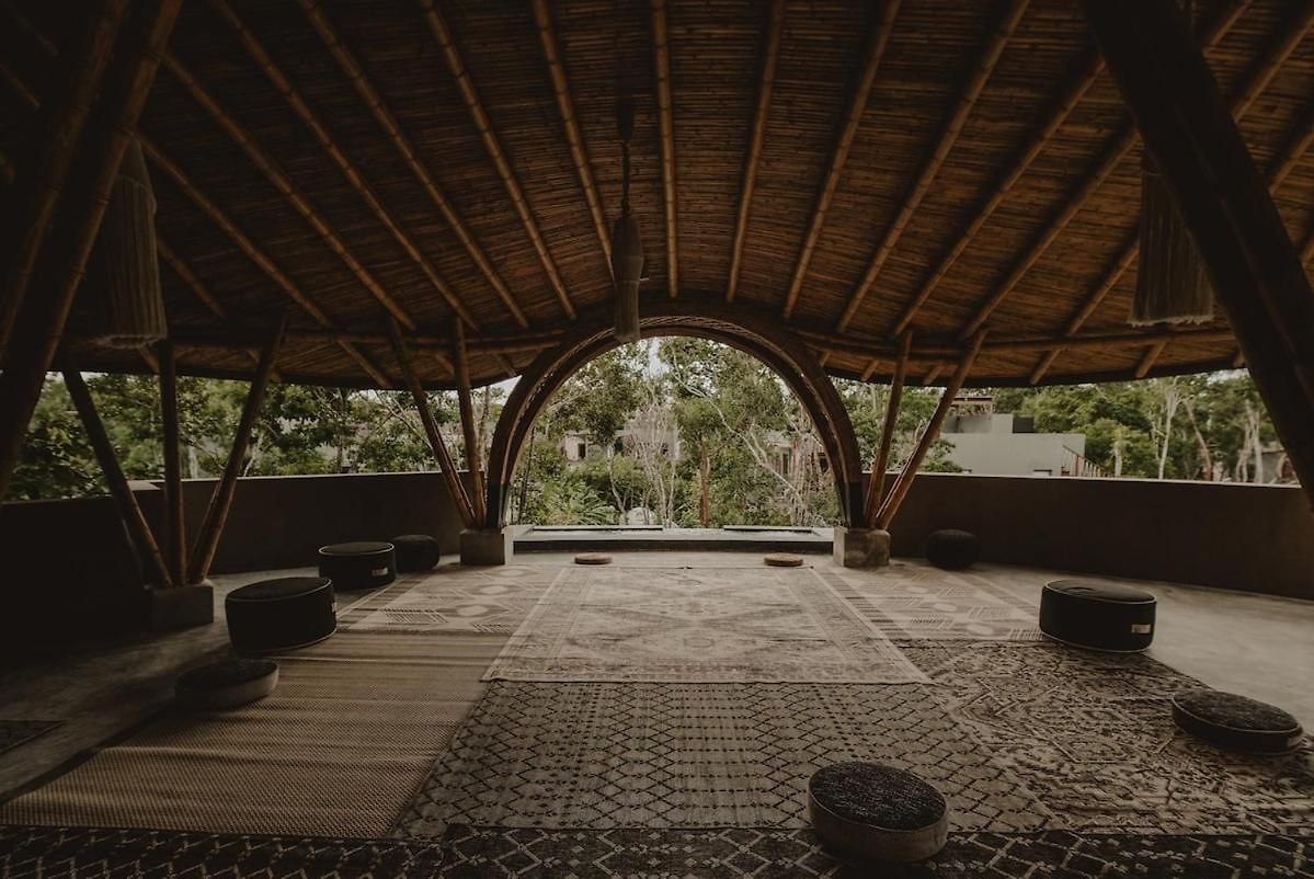 Private Jungle 1br Retreat & Fast Wi-fi *