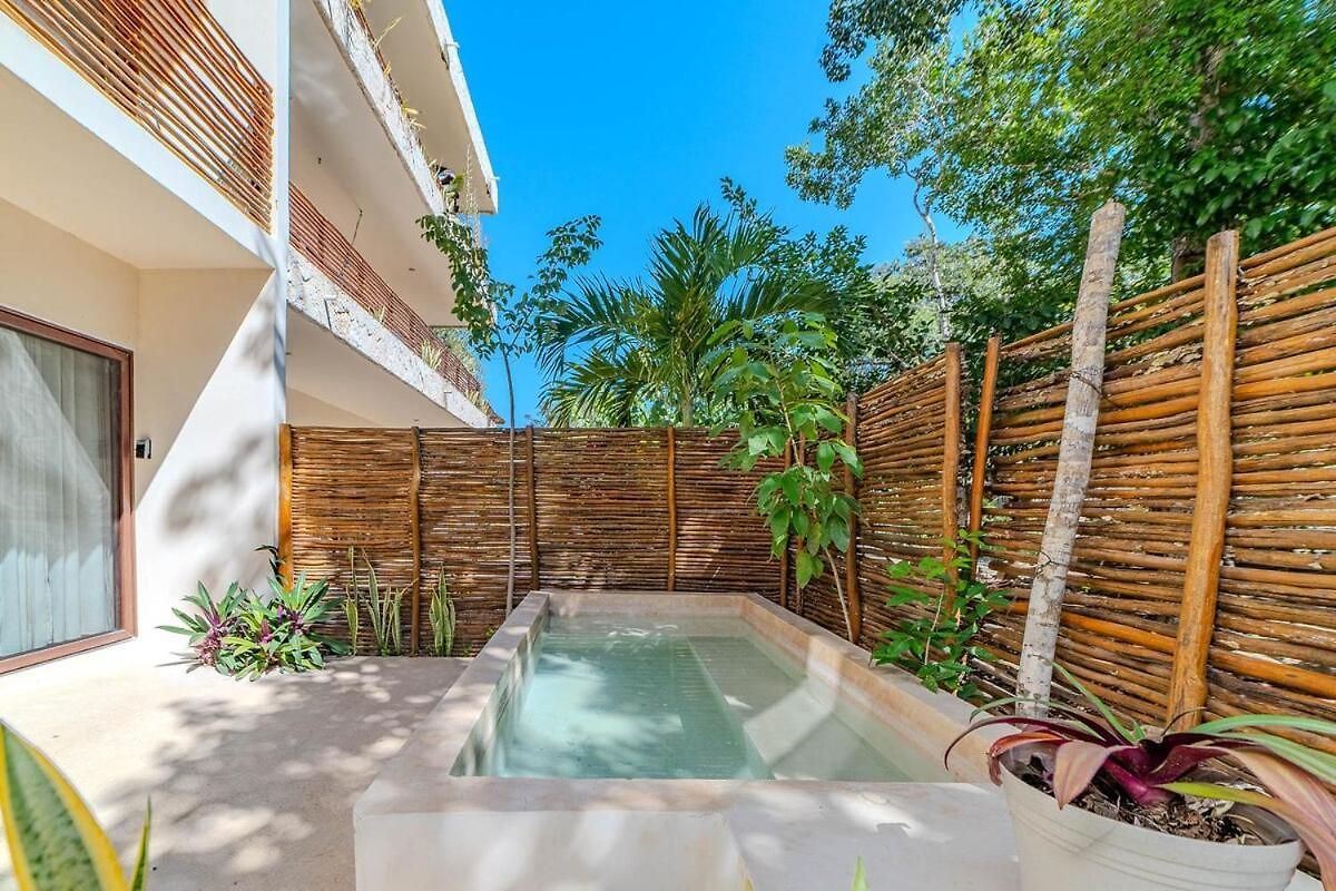 Modern With Pool Fast Wifi Perfect Tulum