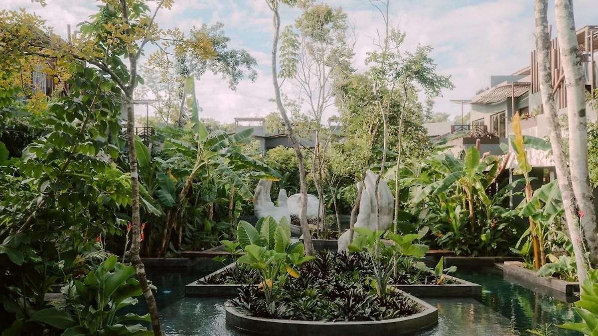 Private Jungle 1br Retreat & Fast Wi-fi Apartamento